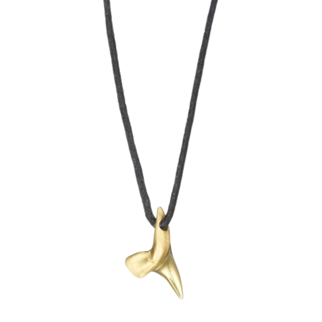 VITALY シャークフィン ネックレス Baby Shark Tooth on Cord | Finn Jewelry