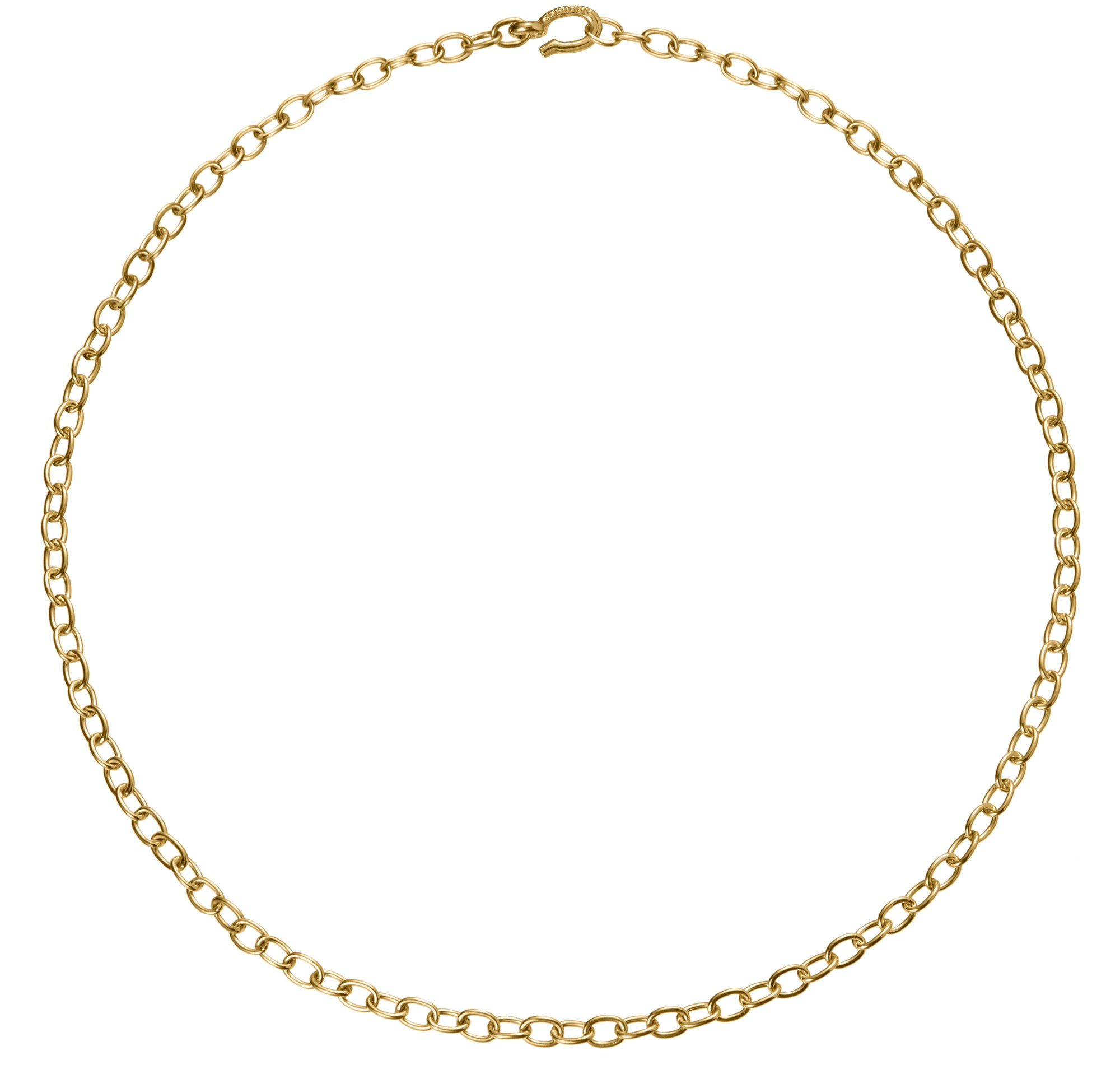 sturdy everyday nautical 18k gold hook and chain necklace by finn by candice pool neistat