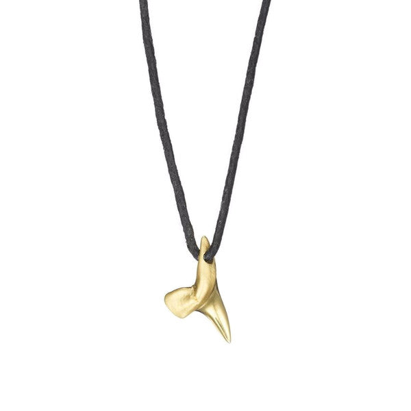 men's and women's solid gold shark tooth pendant on cotton cord by finn by candice pool neistat 